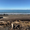 Island Driftwood - 8oz