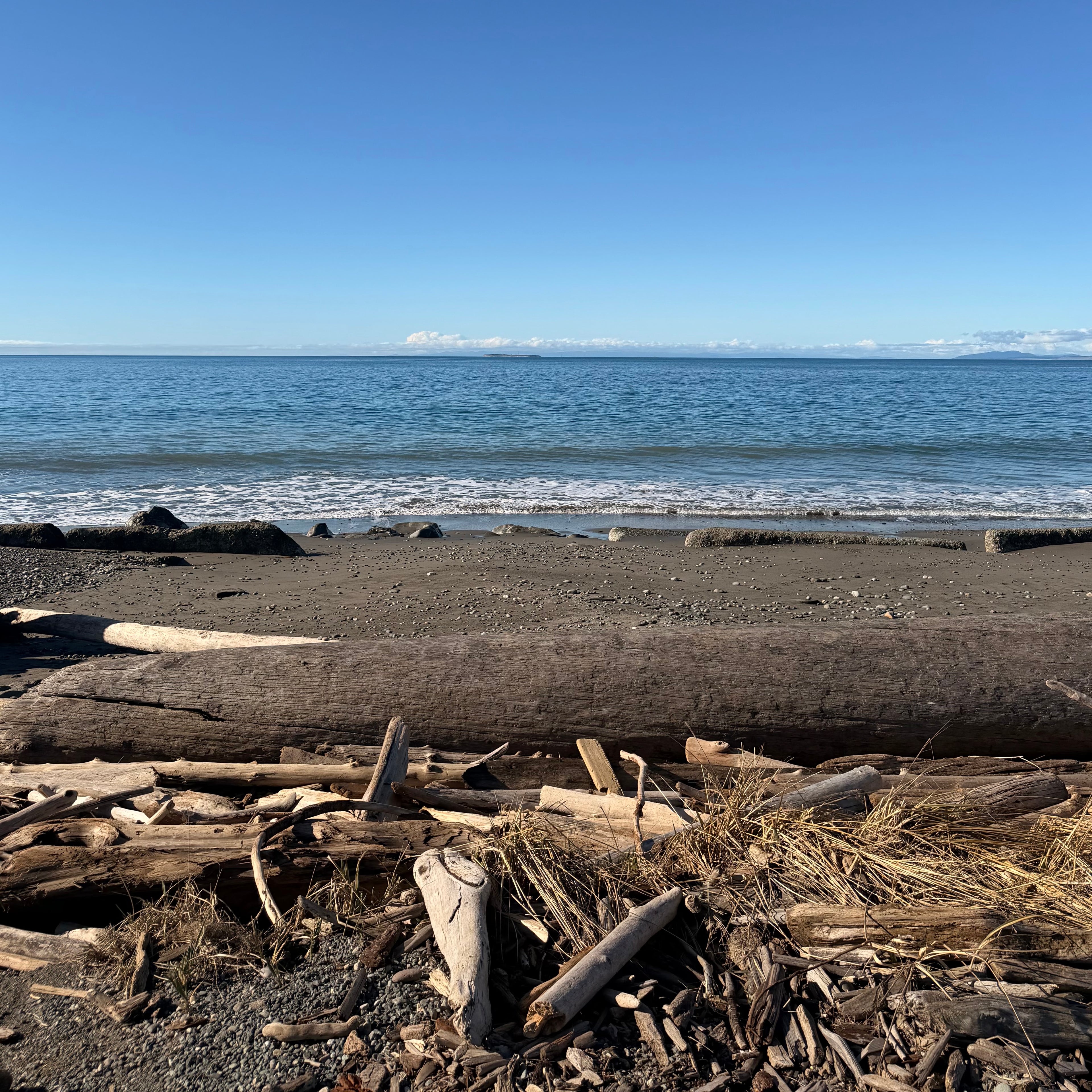 Island Driftwood - 8oz