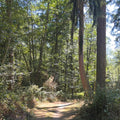 Evergreen State - 8oz